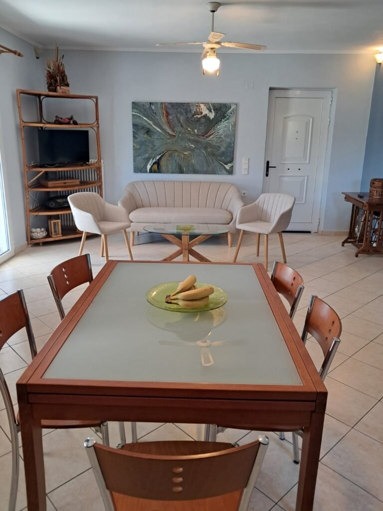 viber_image_2026-02-24_18-39-47-030